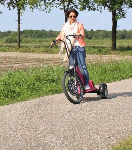 swingtrike swingtrike